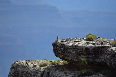 road trip usa west coast, grand canyon