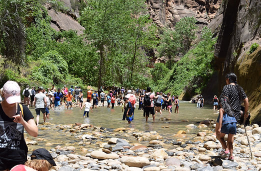 zion national park