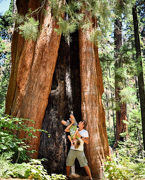 sequoia national park