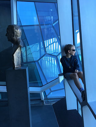 harpa concert hall reykjavik