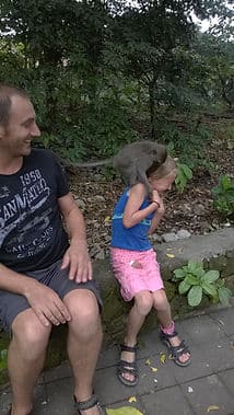 monkey forest ubud