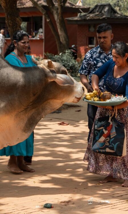visit temple anuradhapura ancient city