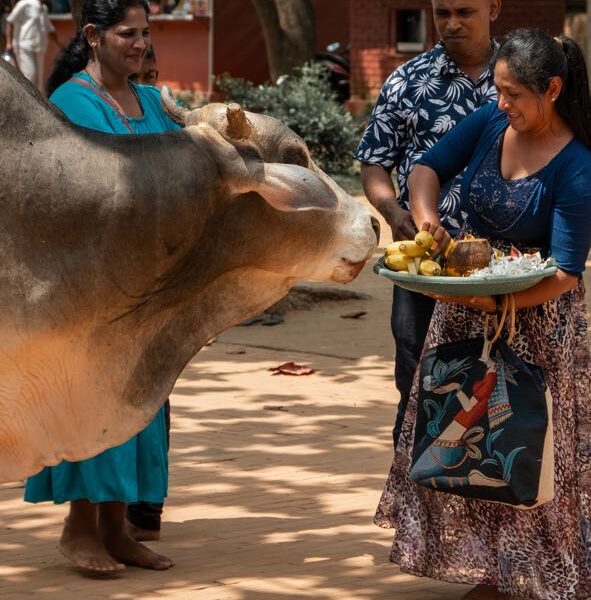 visit temple anuradhapura ancient city