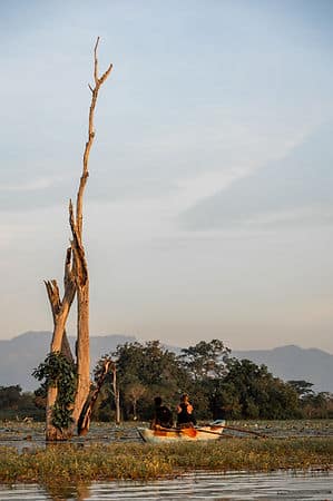kingdom ecolodge