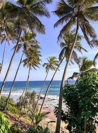 sri lanka itinerary 3 weeks