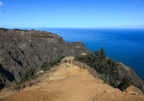 awe awepuhi trail kauai
