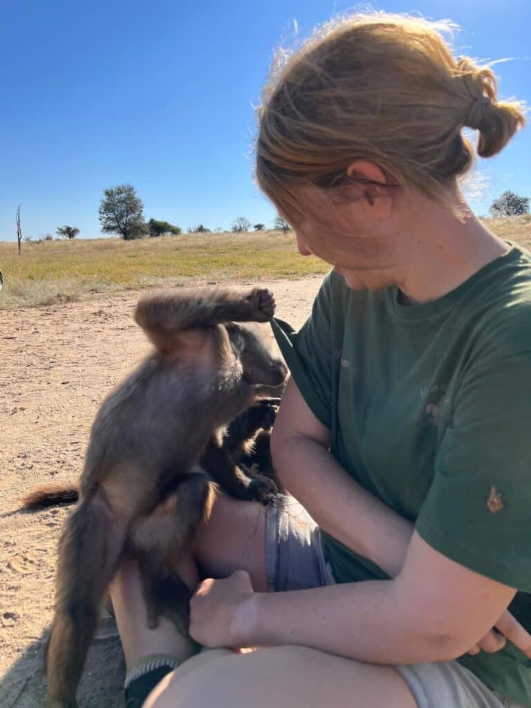 volunteering in Namibia