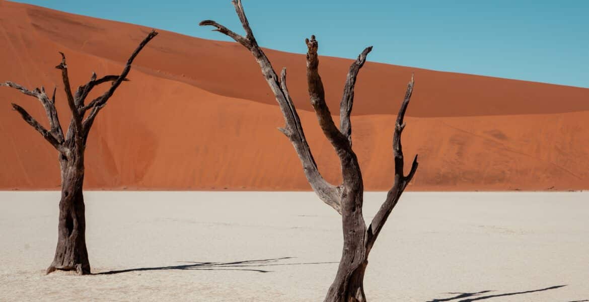 sossusvlei namibia