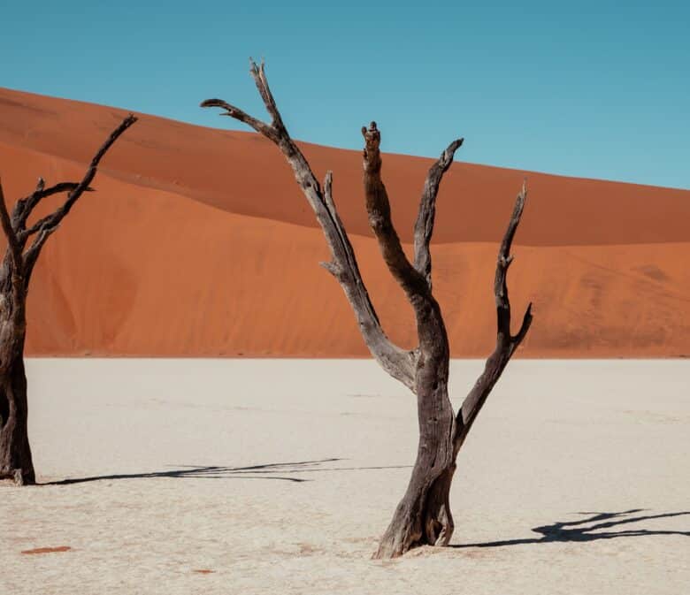 sossusvlei namibia