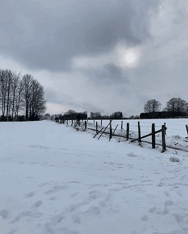 Is Japan expensive to visit? Travel budget for 3 week round-trip in Japan