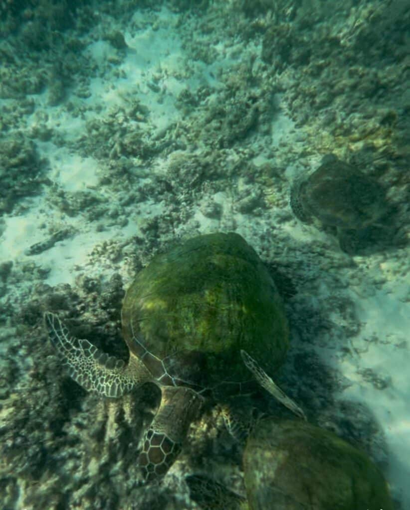 Daymaniyat Nature Reserve